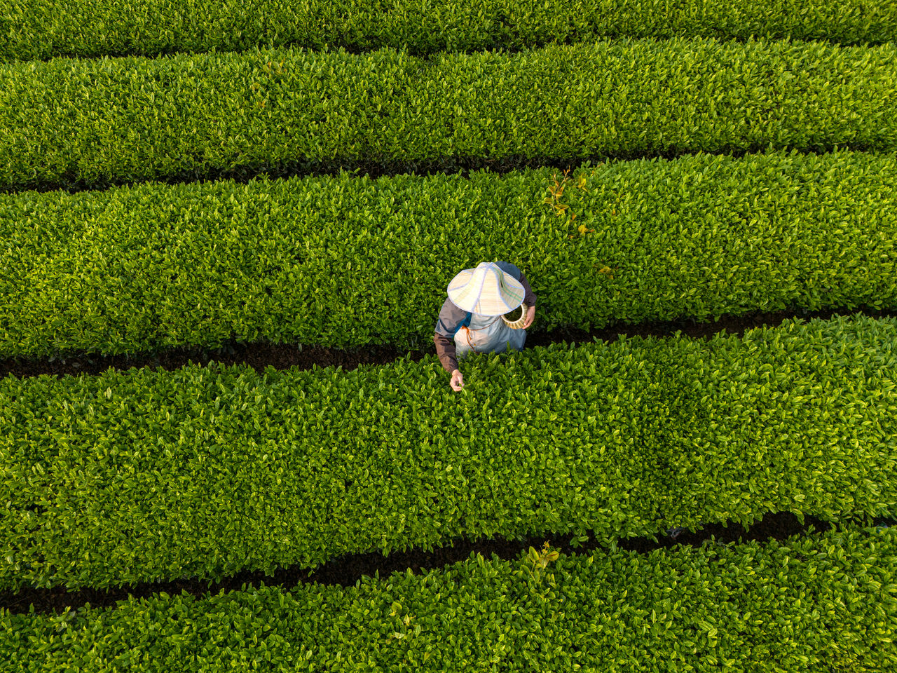 Debunking Four Sustainability Myths: A CSO's Guide