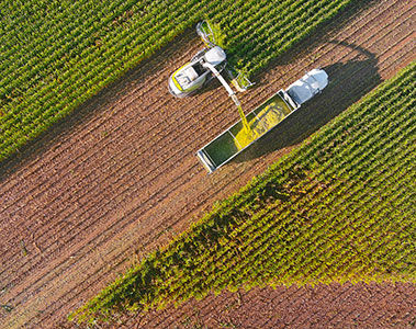 New EU Code of Good Labelling Practice Endorsed: A Step Forward for Feed Producers